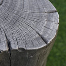 Kruk Elementi Boomstam - Vezelversterkt beton met een grijze houtlook